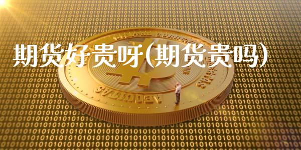 期货好贵呀(期货贵吗)_https://www.gzmhy.com_期货理财_第1张