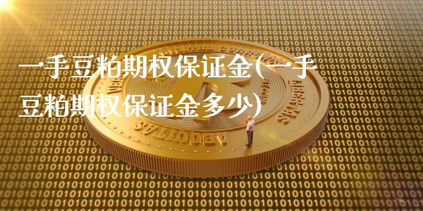 一手豆粕期权保证金(一手豆粕期权保证金多少)_https://www.gzmhy.com_理财品种_第1张