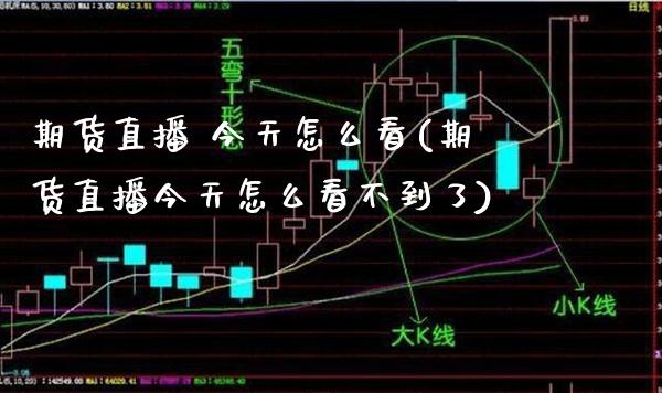 期货直播 今天怎么看(期货直播今天怎么看不到了)_股票理财_第1张_格子财经网 期货直播 今天怎么看(期货直播今天怎么看不到了)_https://www.gzmhy.com_股票理财_第1张
