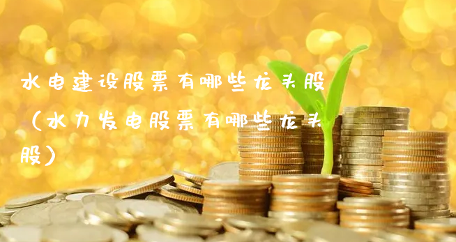水电建设股票有哪些龙头股（水力发电股票有哪些龙头股）_https://www.gzmhy.com_基金理财_第1张