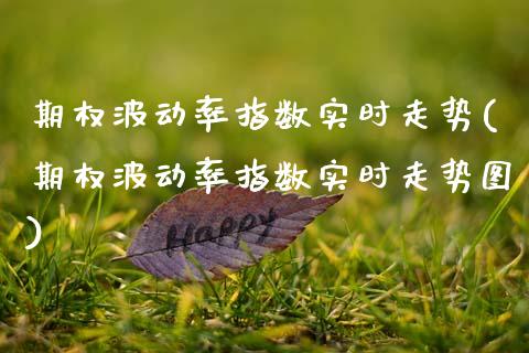 期权波动率指数实时走势(期权波动率指数实时走势图)_https://www.gzmhy.com_理财产品_第1张