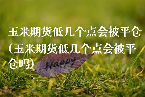 玉米期货低几个点会被平仓(玉米期货低几个点会被平仓吗)_https://www.gzmhy.com_基金理财_第1张