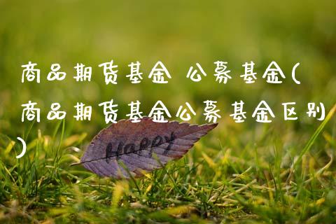 商品期货基金 公募基金(商品期货基金公募基金区别)_保险理财_第1张_格子财经网 商品期货基金 公募基金(商品期货基金公募基金区别)_https://www.gzmhy.com_保险理财_第1张