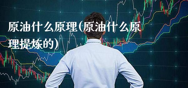 原油什么原理(原油什么原理提炼的)_https://www.gzmhy.com_理财品种_第1张