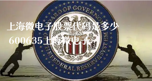上海微电子股票代码是多少 600635上海微电子_https://www.gzmhy.com_股票理财_第1张