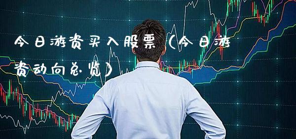 今日游资买入股票（今日游资动向总览）_https://www.gzmhy.com_基金理财_第1张