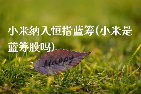 小米纳入恒指蓝筹(小米是蓝筹股吗)_https://www.gzmhy.com_理财品种_第1张