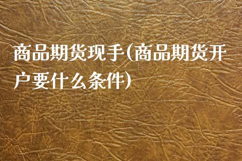 商品期货现手(商品期货开户要什么条件)_https://www.gzmhy.com_基金理财_第1张