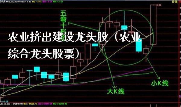 农业挤出建设龙头股（农业综合龙头股票）_https://www.gzmhy.com_保险理财_第1张