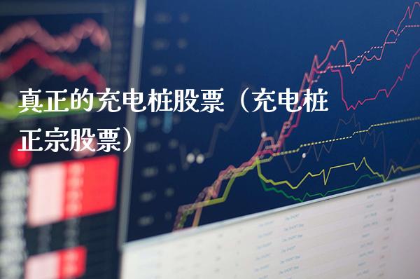 真正的充电桩股票（充电桩正宗股票）_https://www.gzmhy.com_股票理财_第1张