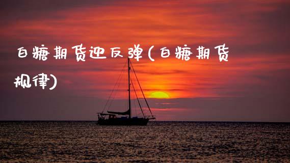 白糖期货迎反弹(白糖期货规律)_https://www.gzmhy.com_期货理财_第1张