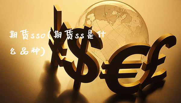 期货sso(期货ss是什么品种)_https://www.gzmhy.com_财经资讯_第1张