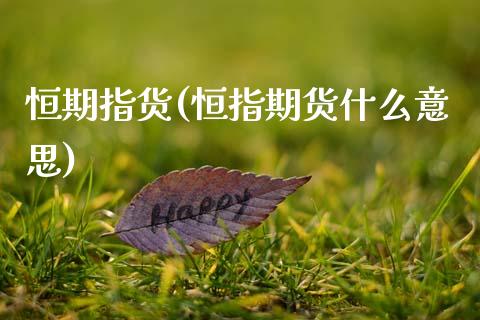 恒期指货(恒指期货什么意思)_https://www.gzmhy.com_期货理财_第1张