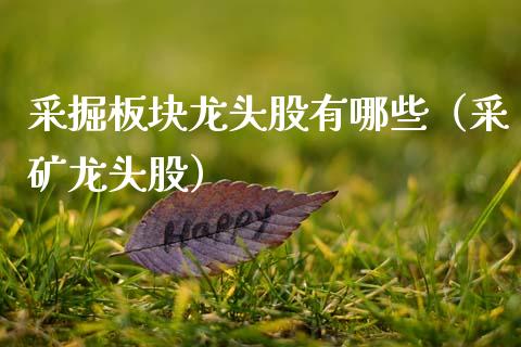 采掘板块龙头股有哪些（采矿龙头股）_https://www.gzmhy.com_理财品种_第1张