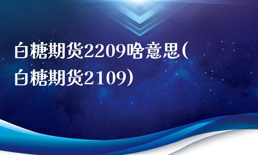 白糖期货2209啥意思(白糖期货2109)_https://www.gzmhy.com_保险理财_第1张