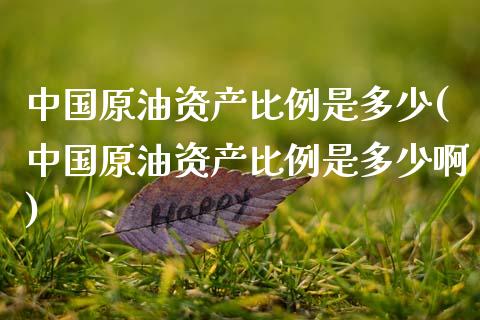 中国原油资产比例是多少(中国原油资产比例是多少啊)_股票理财_第1张_格子财经网 中国原油资产比例是多少(中国原油资产比例是多少啊)_https://www.gzmhy.com_股票理财_第1张