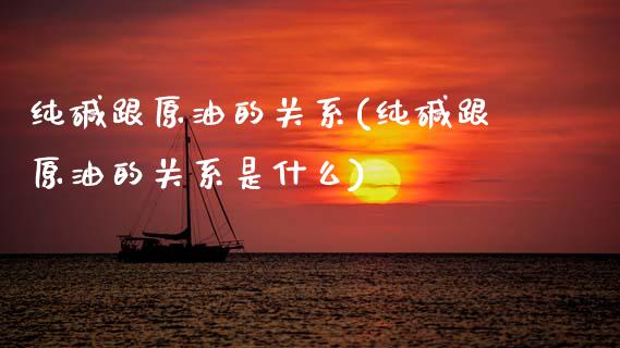 纯碱跟原油的关系(纯碱跟原油的关系是什么)_https://www.gzmhy.com_保险理财_第1张