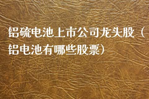 铝硫电池上市公司龙头股（铝电池有哪些股票）_https://www.gzmhy.com_股票理财_第1张