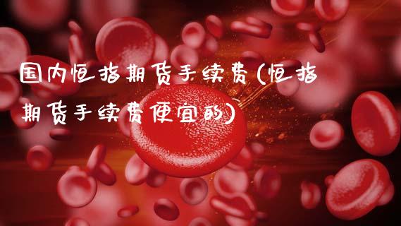 国内恒指期货手续费(恒指期货手续费便宜的)_https://www.gzmhy.com_期货理财_第1张