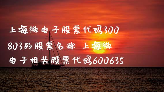 上海微电子股票代码300803的股票名称 上海微电子相关股票代码600635_https://www.gzmhy.com_股票理财_第1张