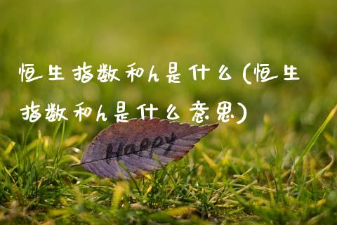 恒生指数和h是什么(恒生指数和h是什么意思)_交易百科_第1张_格子财经网 恒生指数和h是什么(恒生指数和h是什么意思)_https://www.gzmhy.com_交易百科_第1张