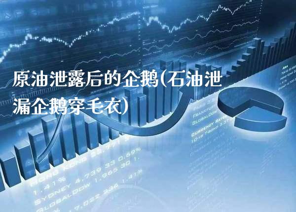 原油泄露后的企鹅(石油泄漏企鹅穿毛衣)_期货理财_第1张_格子财经网 原油泄露后的企鹅(石油泄漏企鹅穿毛衣)_https://www.gzmhy.com_期货理财_第1张