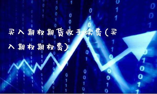 买入期权期货收手续费(买入期权期权费)_https://www.gzmhy.com_交易百科_第1张