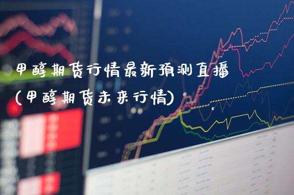 甲醇期货行情最新预测直播(甲醇期货未来行情)_https://www.gzmhy.com_交易百科_第1张