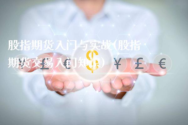 股指期货入门与实战(股指期货交易入门知识)_https://www.gzmhy.com_理财品种_第1张