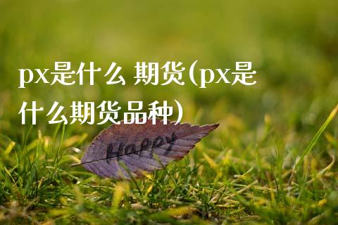 px是什么 期货(px是什么期货品种)_https://www.gzmhy.com_保险理财_第1张