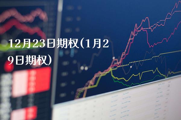 12月23日期权(1月29日期权)_https://www.gzmhy.com_理财品种_第1张