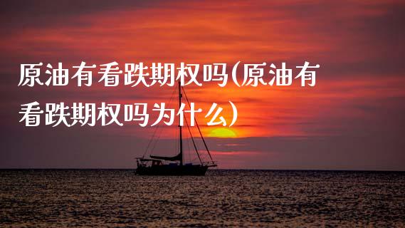 原油有看跌期权吗(原油有看跌期权吗为什么)_https://www.gzmhy.com_理财品种_第1张