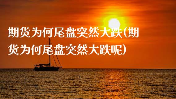 期货为何尾盘突然大跌(期货为何尾盘突然大跌呢)_https://www.gzmhy.com_理财品种_第1张