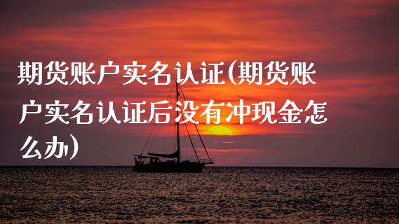 期货账户实名认证(期货账户实名认证后没有冲现金怎么办)_https://www.gzmhy.com_交易百科_第1张