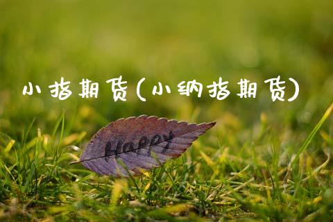 小指期货(小纳指期货)_保险理财_第1张_格子财经网 小指期货(小纳指期货)_https://www.gzmhy.com_保险理财_第1张