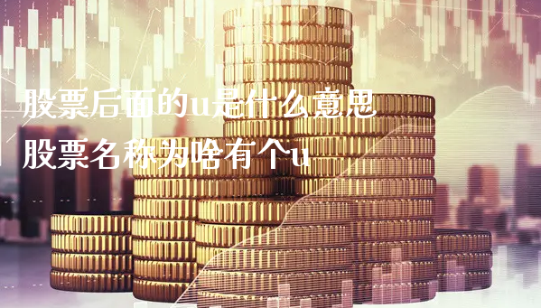 股票后面的u是什么意思 股票名称为啥有个u_https://www.gzmhy.com_期货理财_第1张