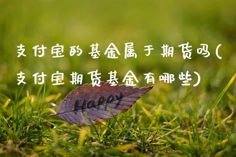 支付宝的基金属于期货吗(支付宝期货基金有哪些)_https://www.gzmhy.com_期货理财_第1张