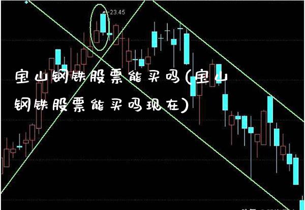 宝山钢铁股票能买吗(宝山钢铁股票能买吗现在)_https://www.gzmhy.com_股票理财_第1张
