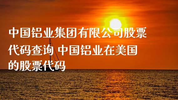 中国铝业集团有限公司股票代码查询 中国铝业在美国的股票代码_https://www.gzmhy.com_理财品种_第1张