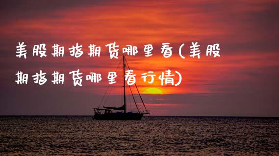 美股期指期货哪里看(美股期指期货哪里看行情)_https://www.gzmhy.com_基金理财_第1张