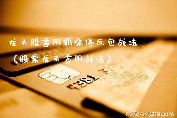 龙头股首阴抓涨停反包战法（股票龙头首阴战法）_https://www.gzmhy.com_基金理财_第1张