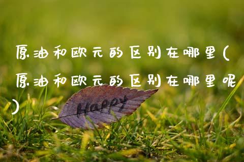 原油和欧元的区别在哪里(原油和欧元的区别在哪里呢)_https://www.gzmhy.com_理财产品_第1张