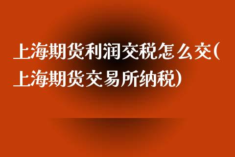 上海期货利润交税怎么交(上海期货交易所纳税)_https://www.gzmhy.com_保险理财_第1张