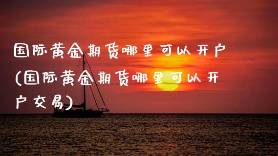 国际黄金期货哪里可以开户(国际黄金期货哪里可以开户交易)_https://www.gzmhy.com_股票理财_第1张