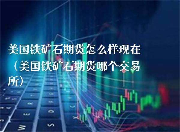 美国铁矿石期货怎么样现在（美国铁矿石期货哪个交易所）_https://www.gzmhy.com_期货理财_第1张