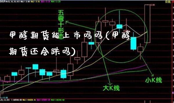甲醇期货能上市吗吗(甲醇期货还会跌吗)_https://www.gzmhy.com_保险理财_第1张