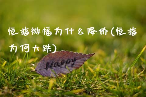 恒指微幅为什么降价(恒指为何大跌)_https://www.gzmhy.com_理财品种_第1张