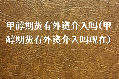 甲醇期货有外资介入吗(甲醇期货有外资介入吗现在)_https://www.gzmhy.com_基金理财_第1张
