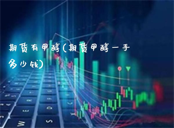 期货有甲醇(期货甲醇一手多少钱)_https://www.gzmhy.com_财经资讯_第1张
