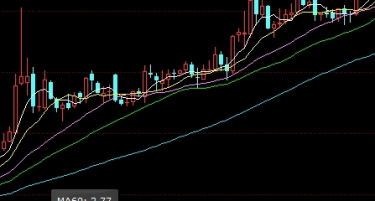 炒期货路上怎么修炼(新人怎么学习炒期货)_https://www.gzmhy.com_基金理财_第1张